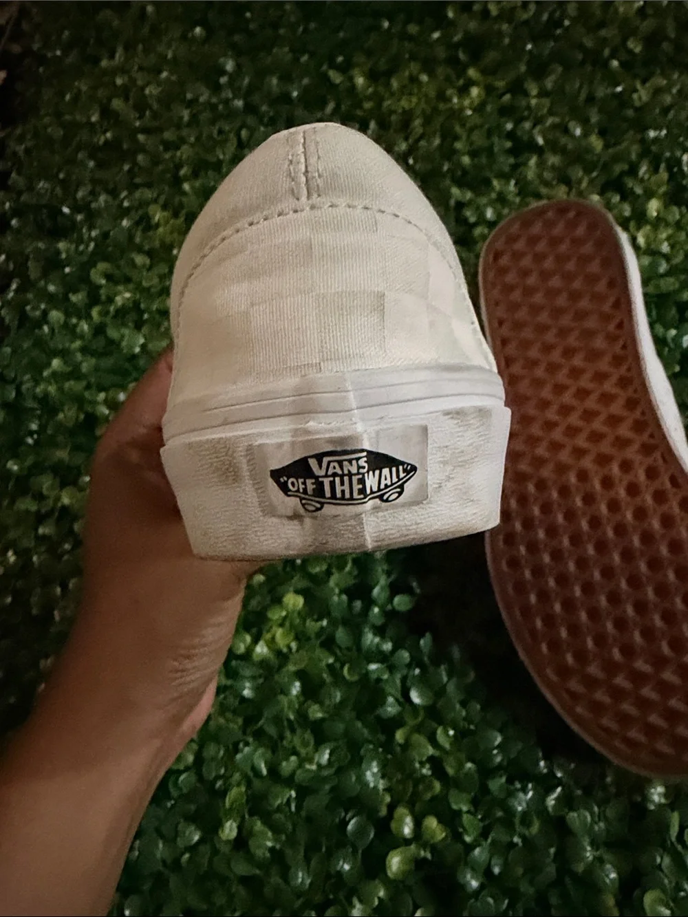 Vans - Picture 4 of 6